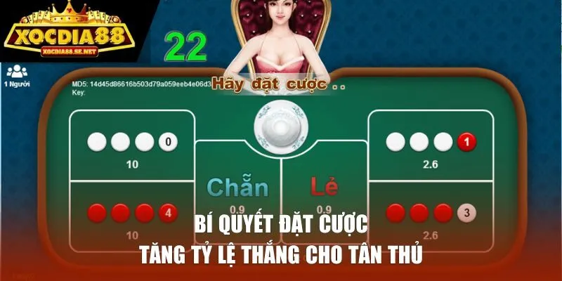Bí quyết đặt cược tăng tỷ lệ thắng cho tân thủ