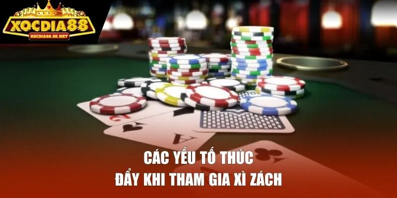 Các yếu tố thúc đẩy khi tham gia Xì Zách